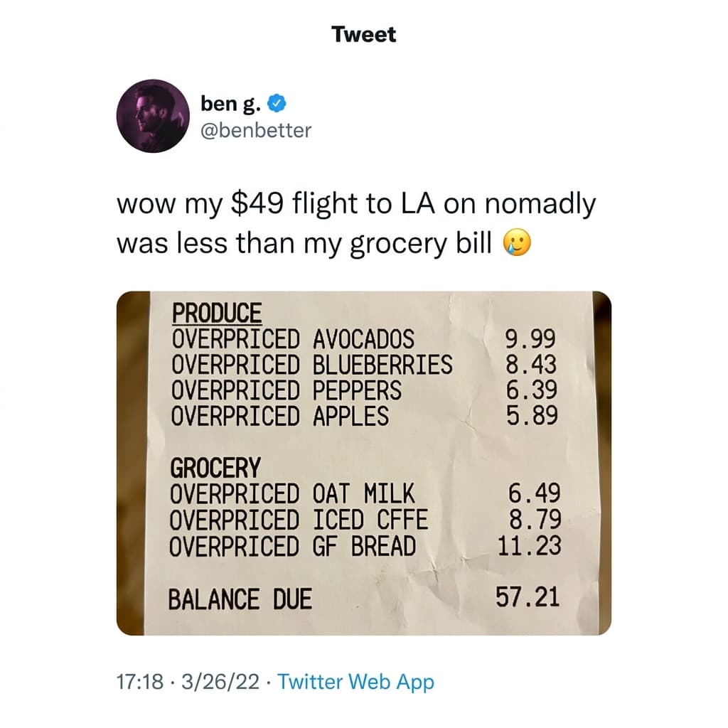 Nomadly — My $49 Flight Was Less Than My Grocery Bill