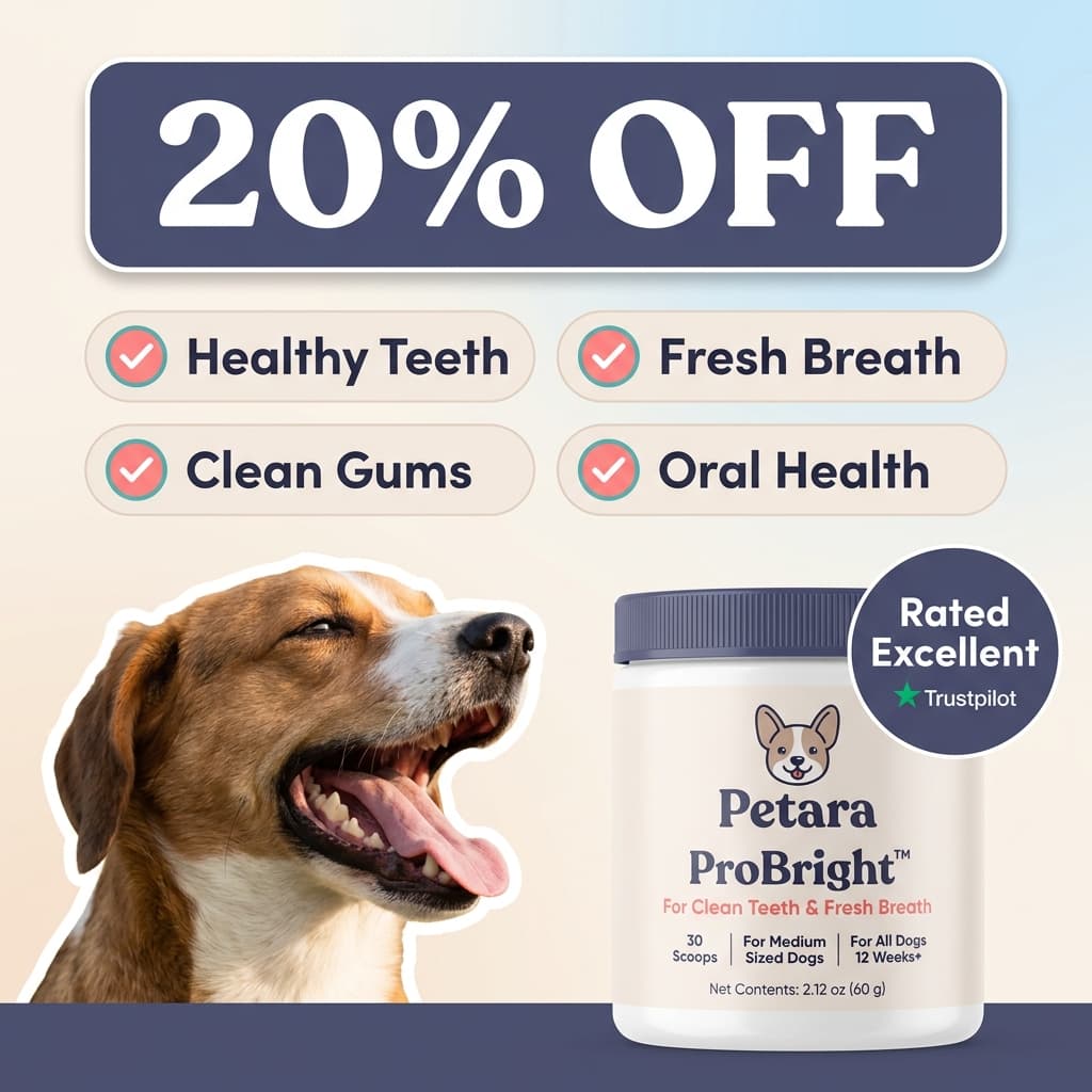 Petara 20% Off — Dog Dental Health Supplement Ad